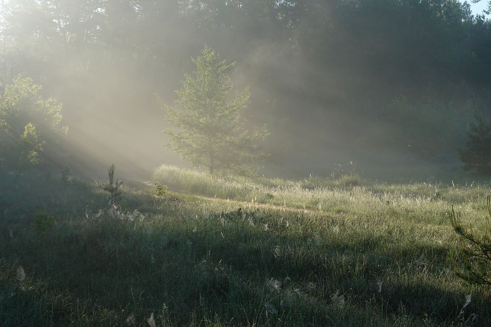 Photograph by Сергей Тарасюк