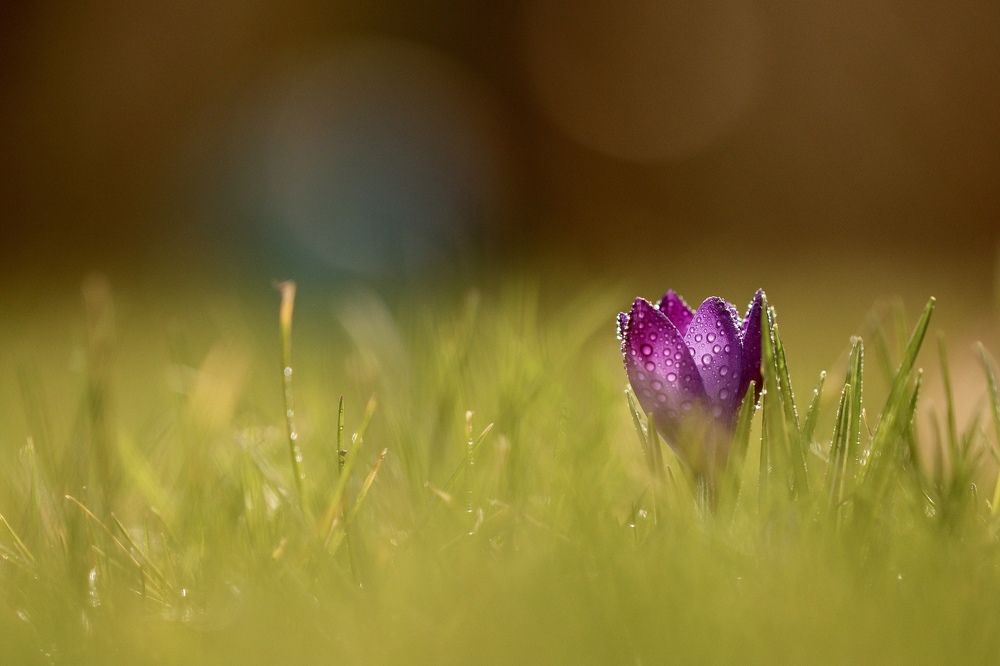 Photograph by Малика Маткарим