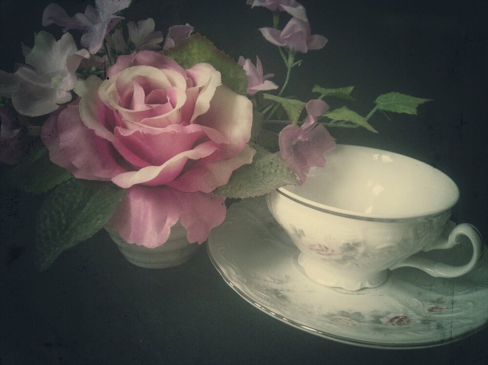 Photograph by Мария Виндилович
