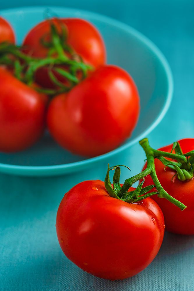 Photograph by Tamar Riabukha