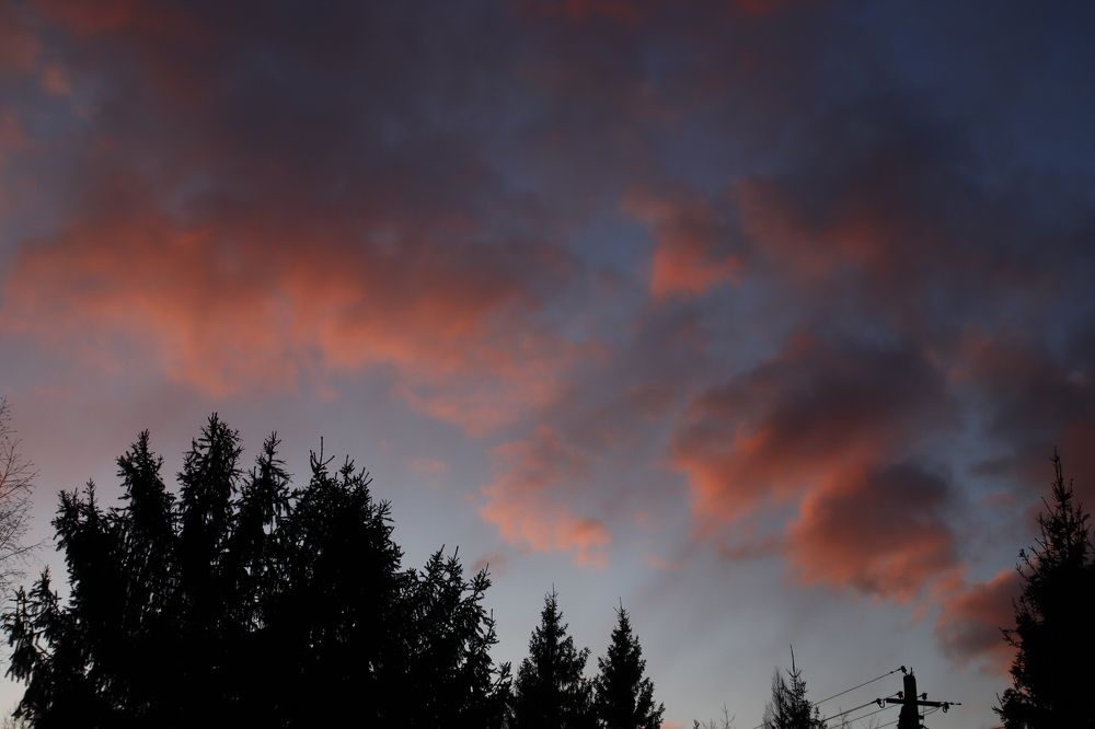 Photograph by Дмитрий Завьялов