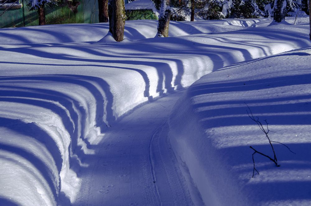 The barcode of winter/  Штрих-код зимы