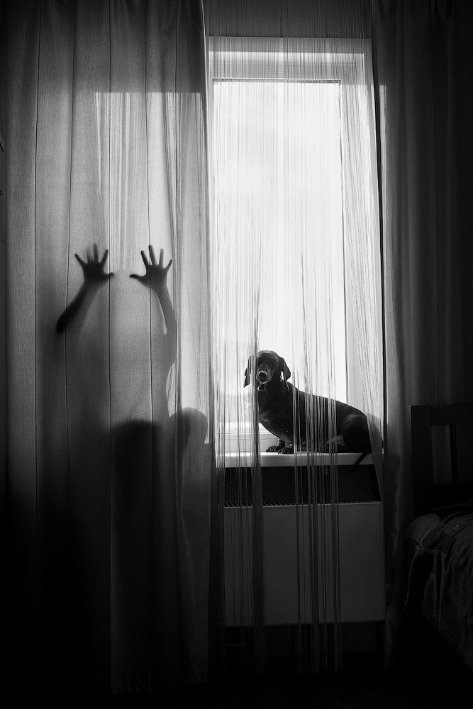 Photograph by Ольга Свистунова