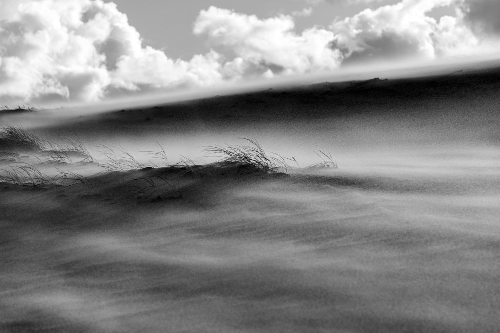 Photograph by Rolandas Valančauskas