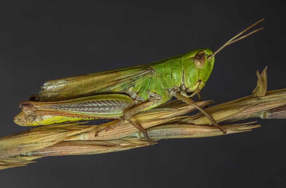 Photograph by Денис Ветренко