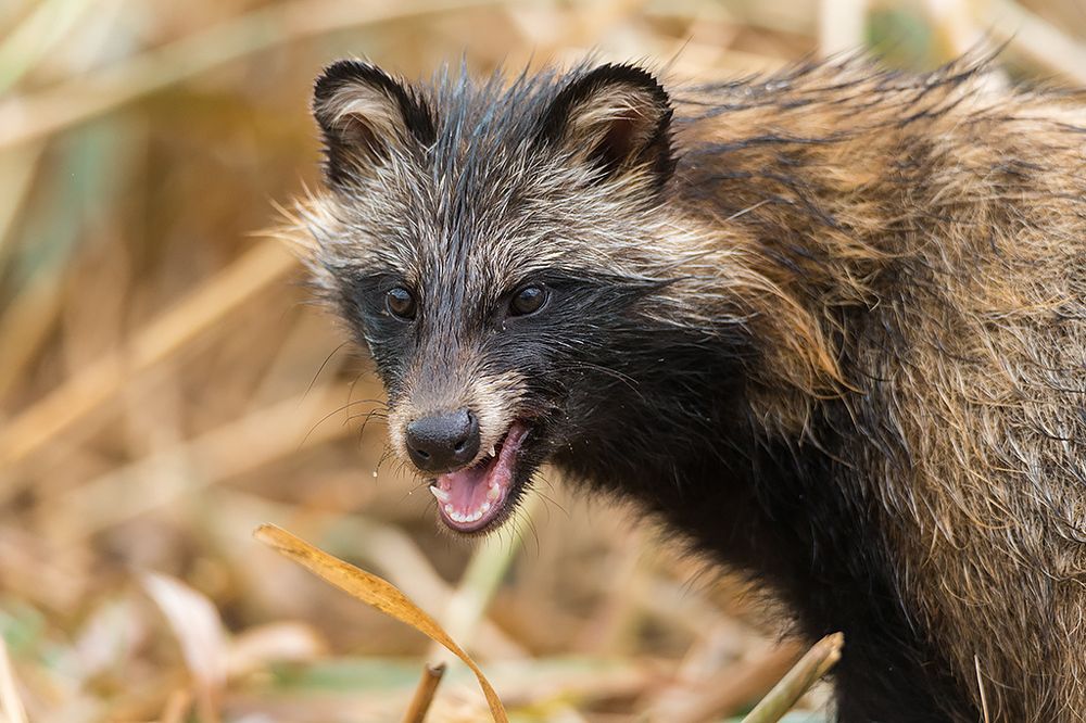 Photograph by Сергей Савви