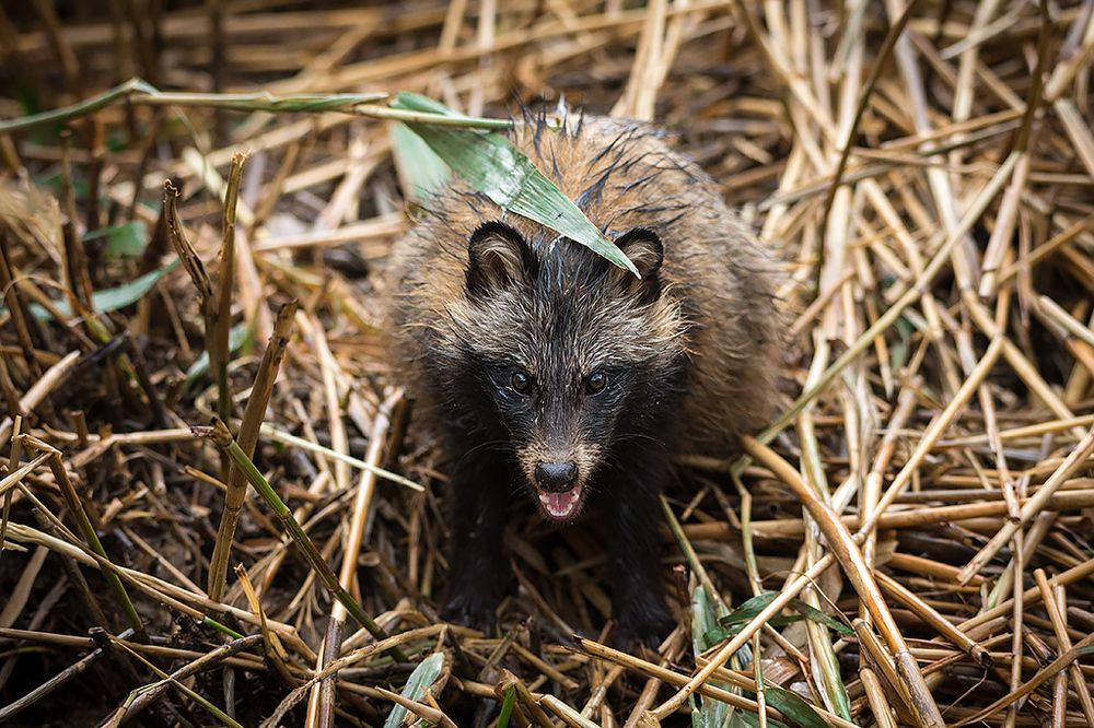 Photograph by Сергей Савви
