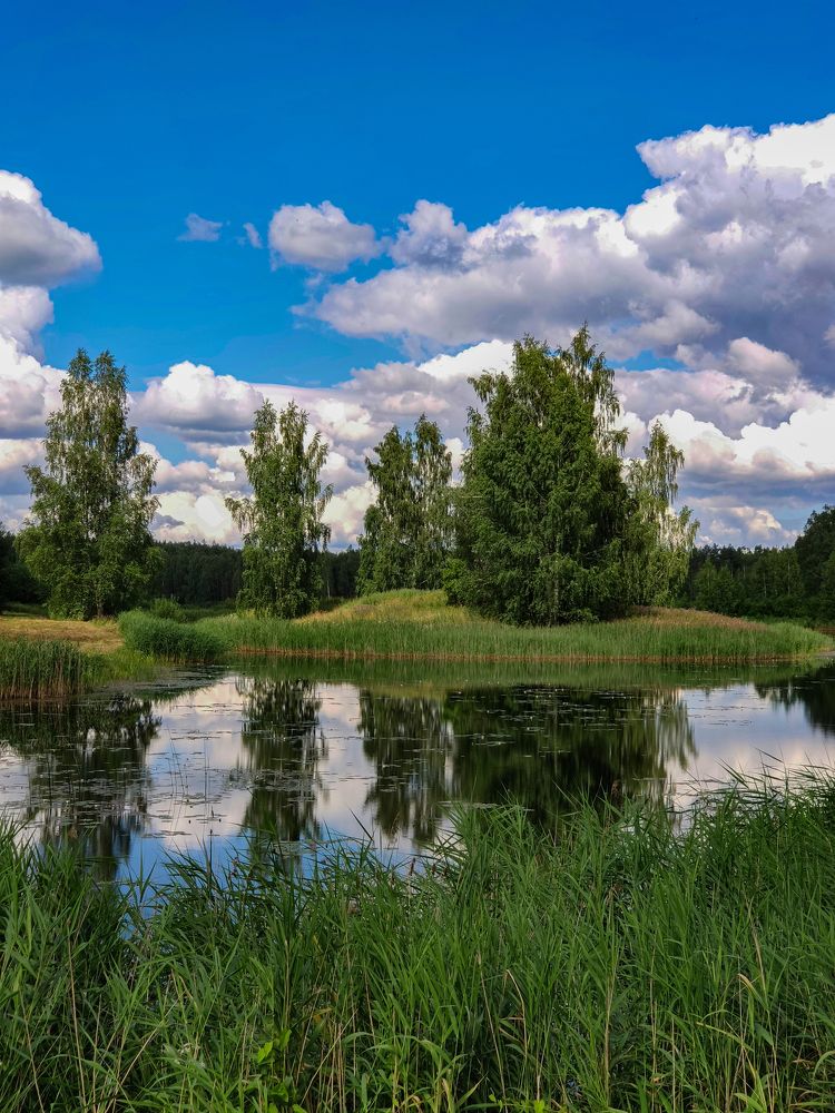 Photograph by Татьяна Козлова