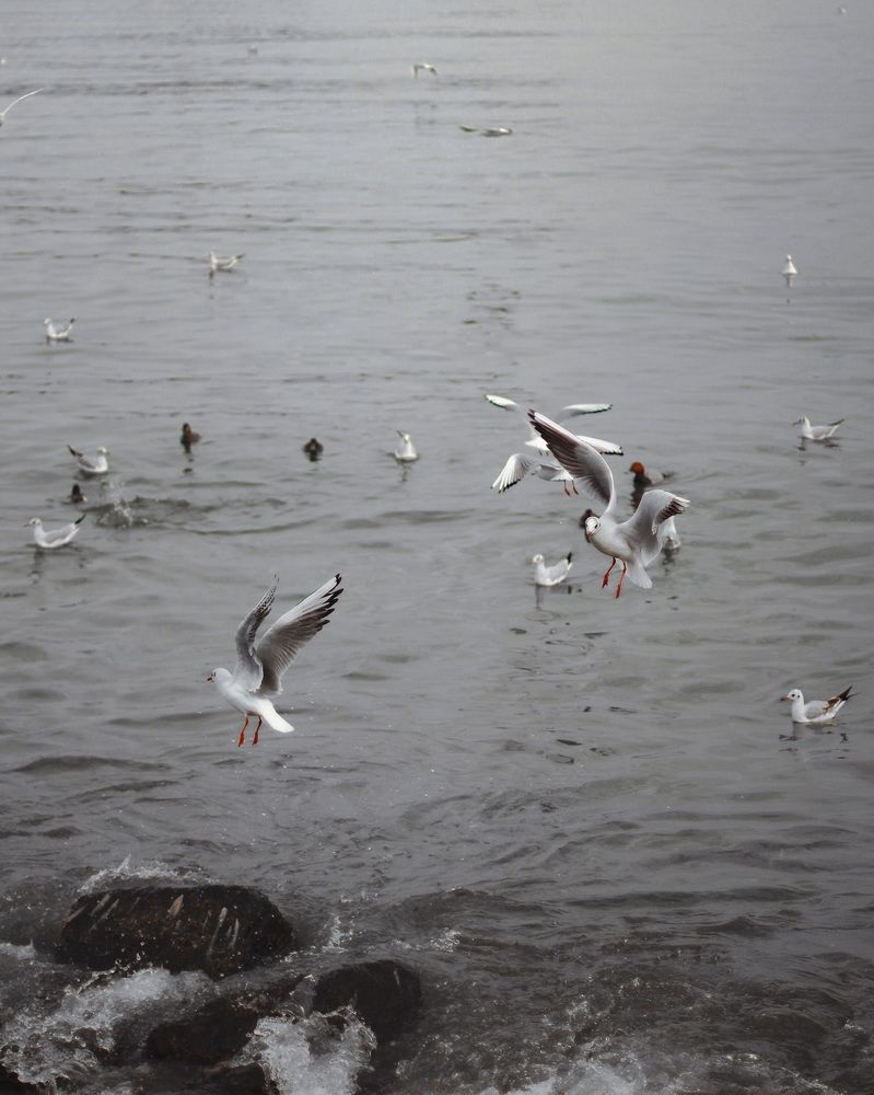 Photograph by Kamizzle