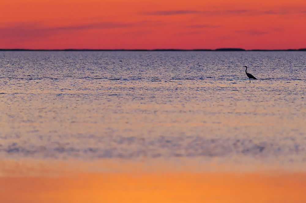 Photograph by Сергей Савви