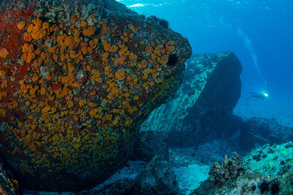 Photograph by Олег Гапонюк