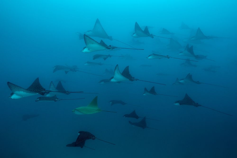 Photograph by Олег Гапонюк