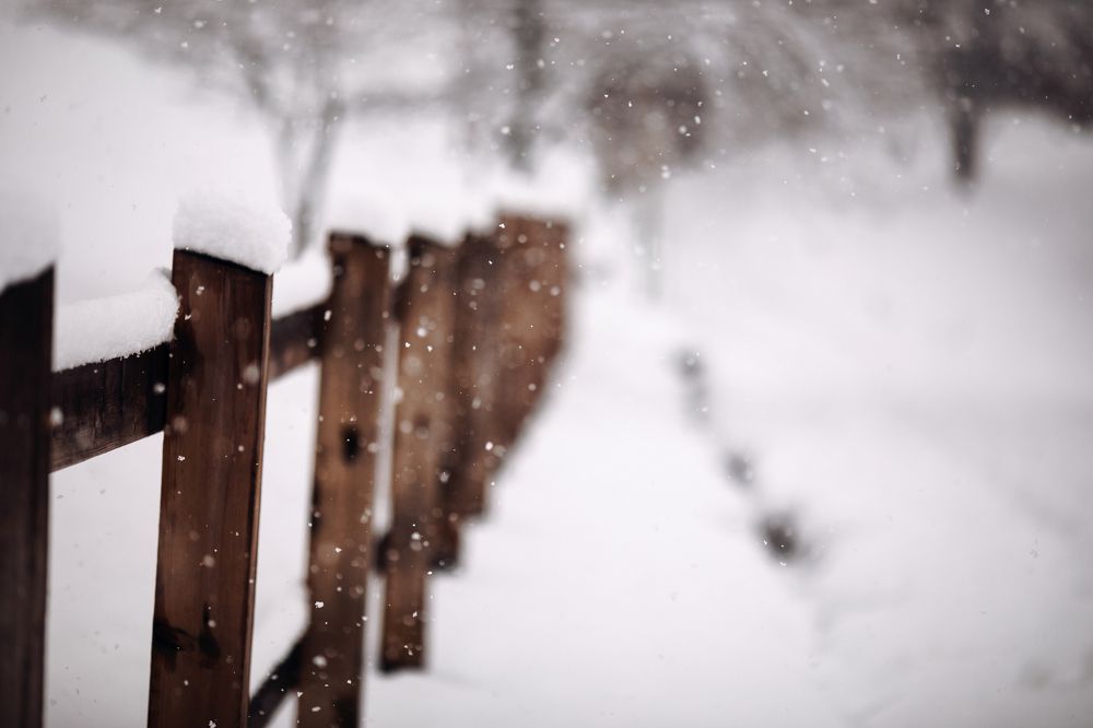 Photograph by Олеся Колитченко