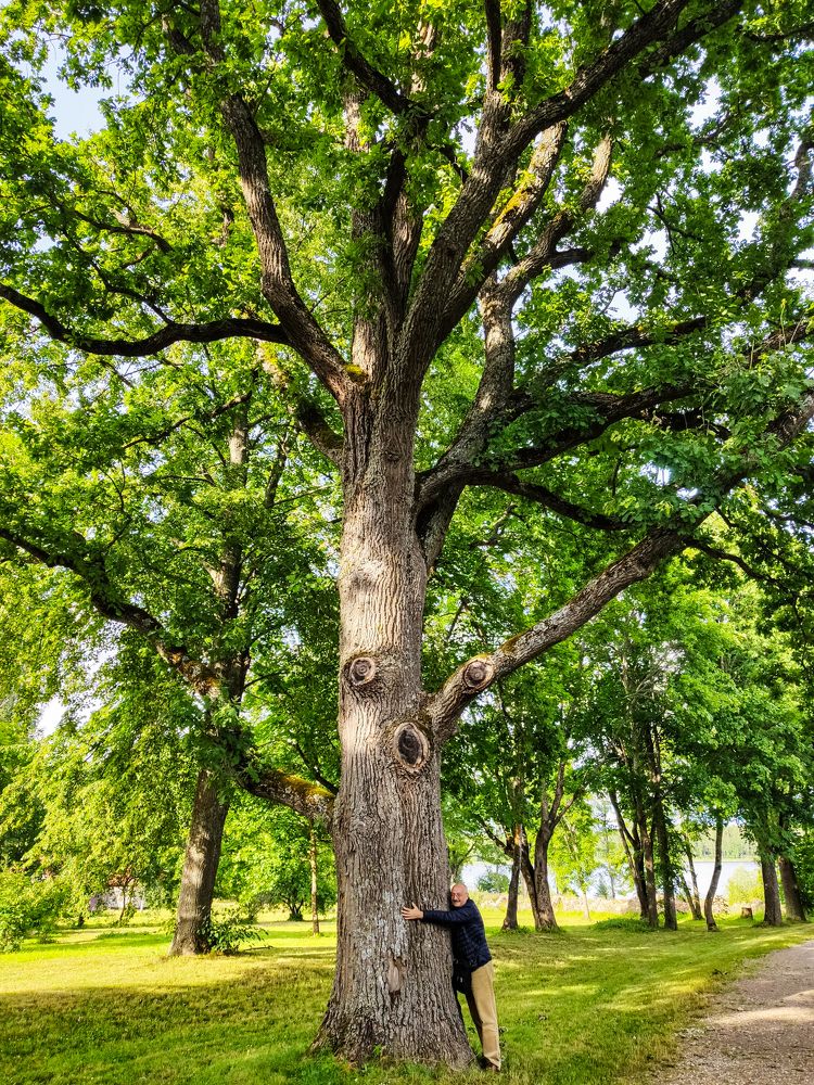 Photograph by Татьяна Козлова