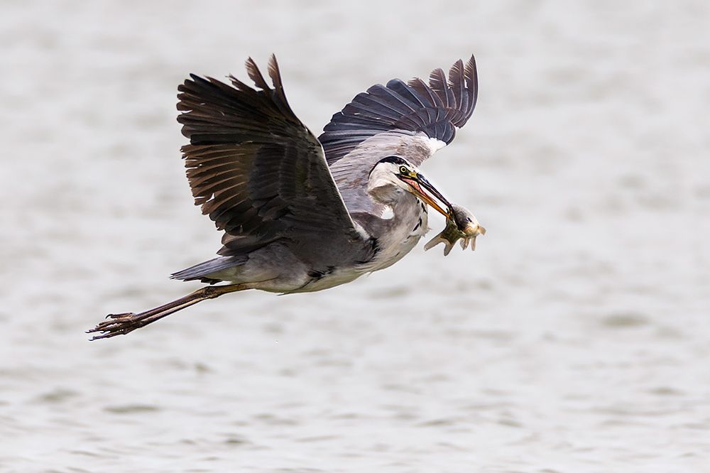 Photograph by Сергей Савви