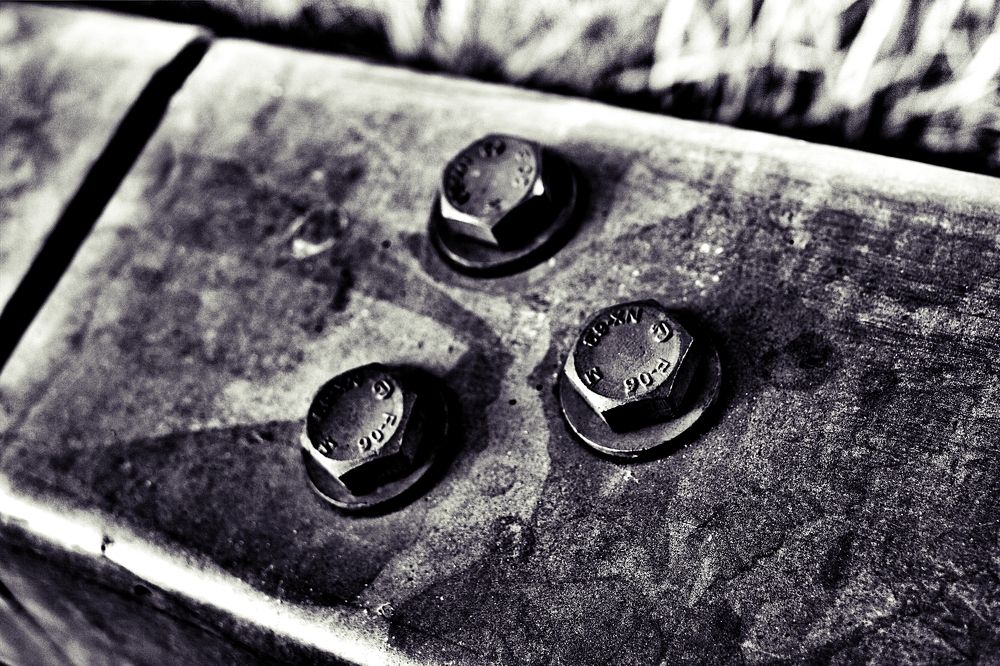 Photograph by Peter Hayes