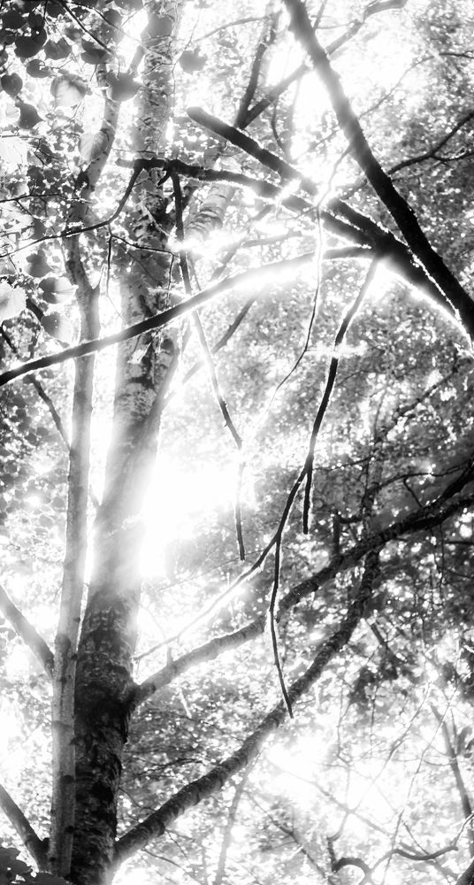 Photograph by Иван Бондаренко