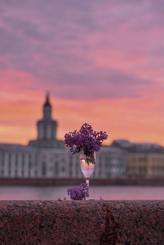 Сиреневое утро