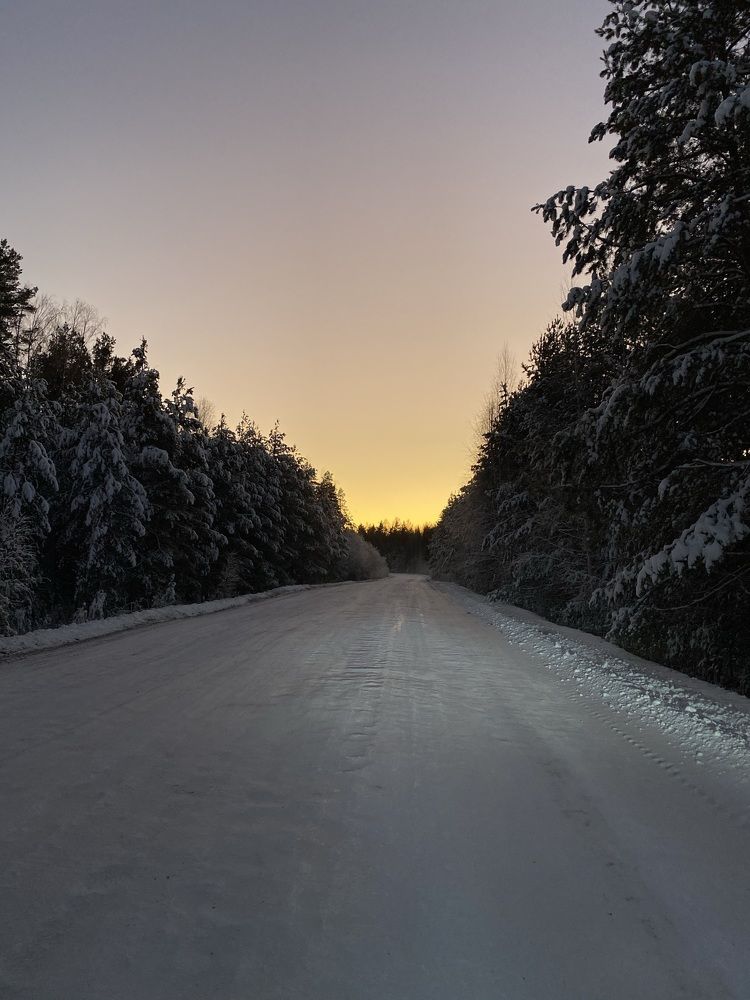 Дорога домой