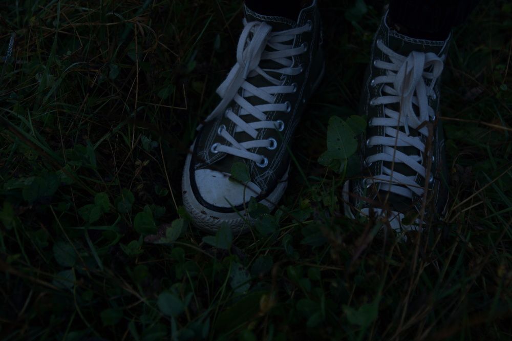 Утренняя осенняя прогулка