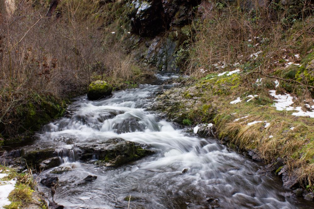 Photograph by Ольга Белостоцкая