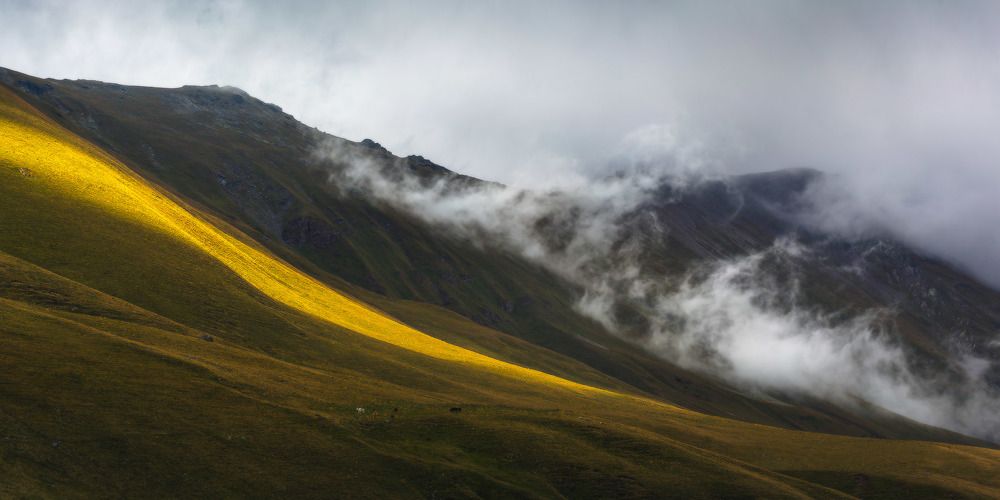 Photograph by Алексей Ретюнских