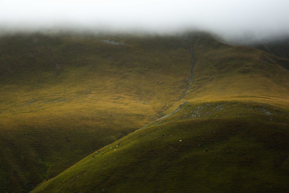 Photograph by Алексей Ретюнских