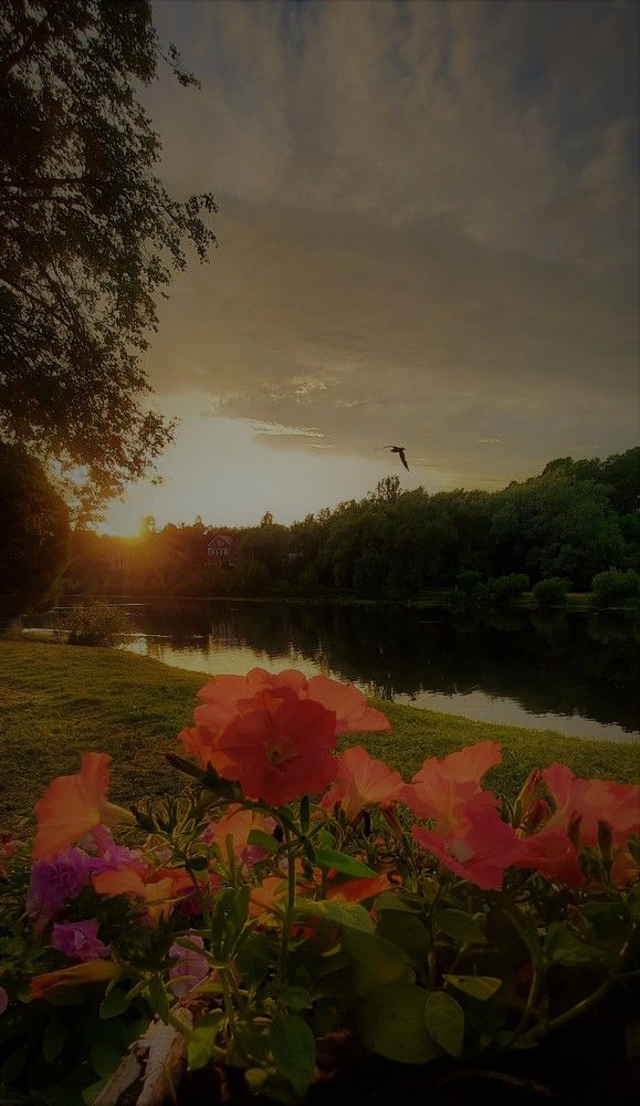 Photograph by Марина Игнатьева