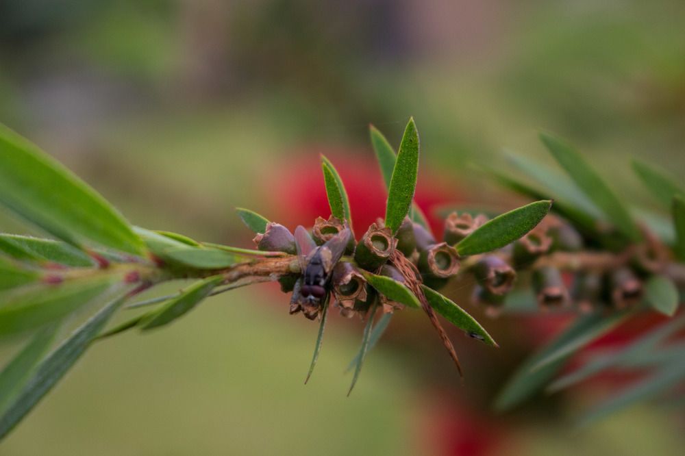 Photograph by Godfrey Banda