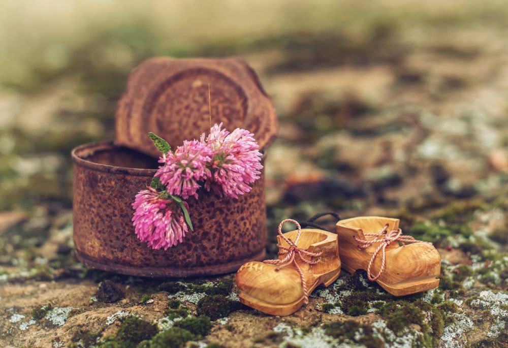 Шли ножки по дорожке...