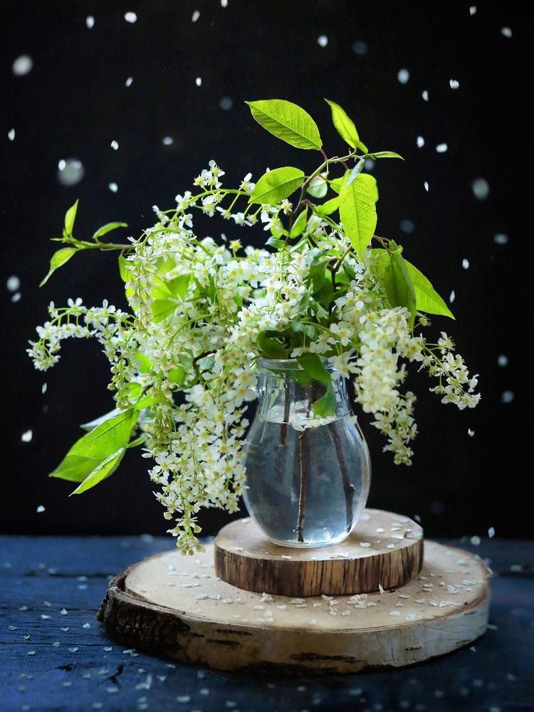 Фотография автора Евгения Грин