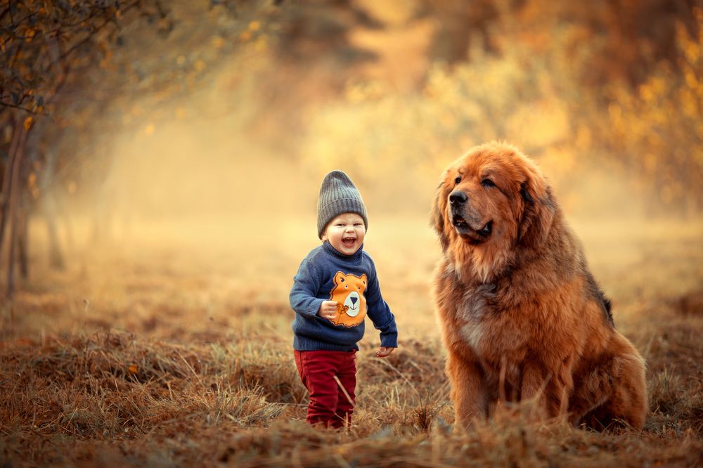 Photograph by Юлия Храпова