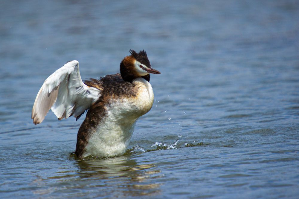 Photograph by Оксана Казакова