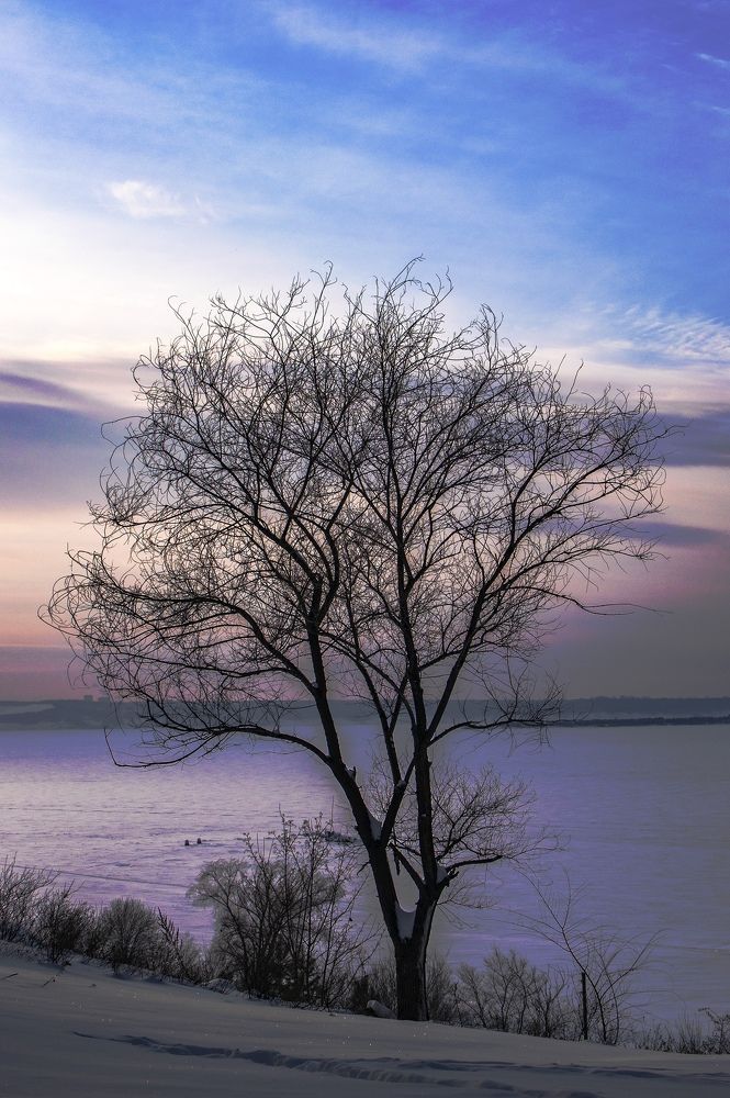 Photograph by Ольга Доловова