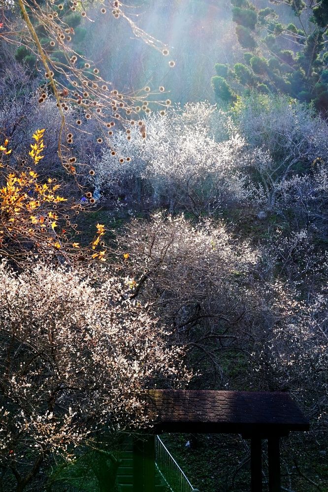 Photograph by Yiru Tsai