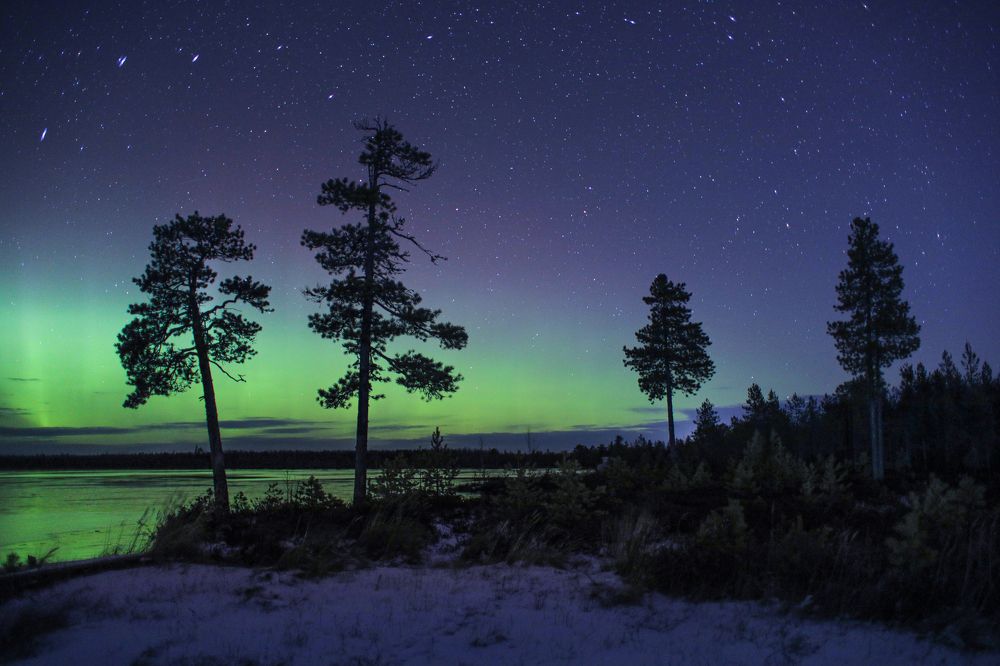 Photograph by Татьяна Борисова