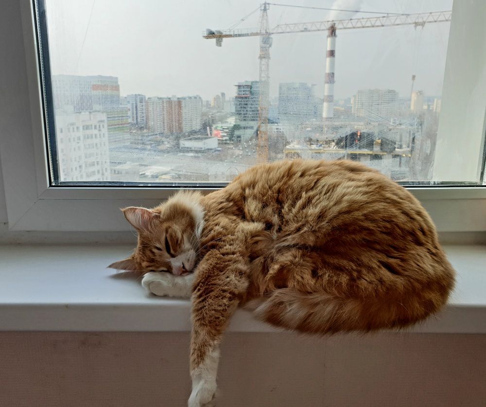 Photograph by Марина Гимеина