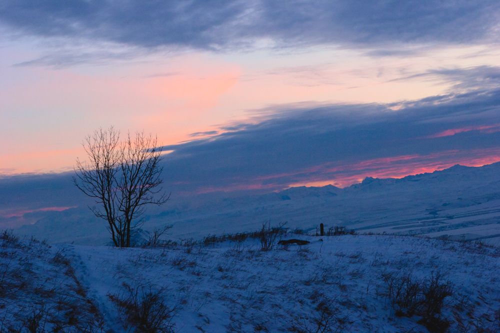 Зимний вечер с видом на Кавказский хребет