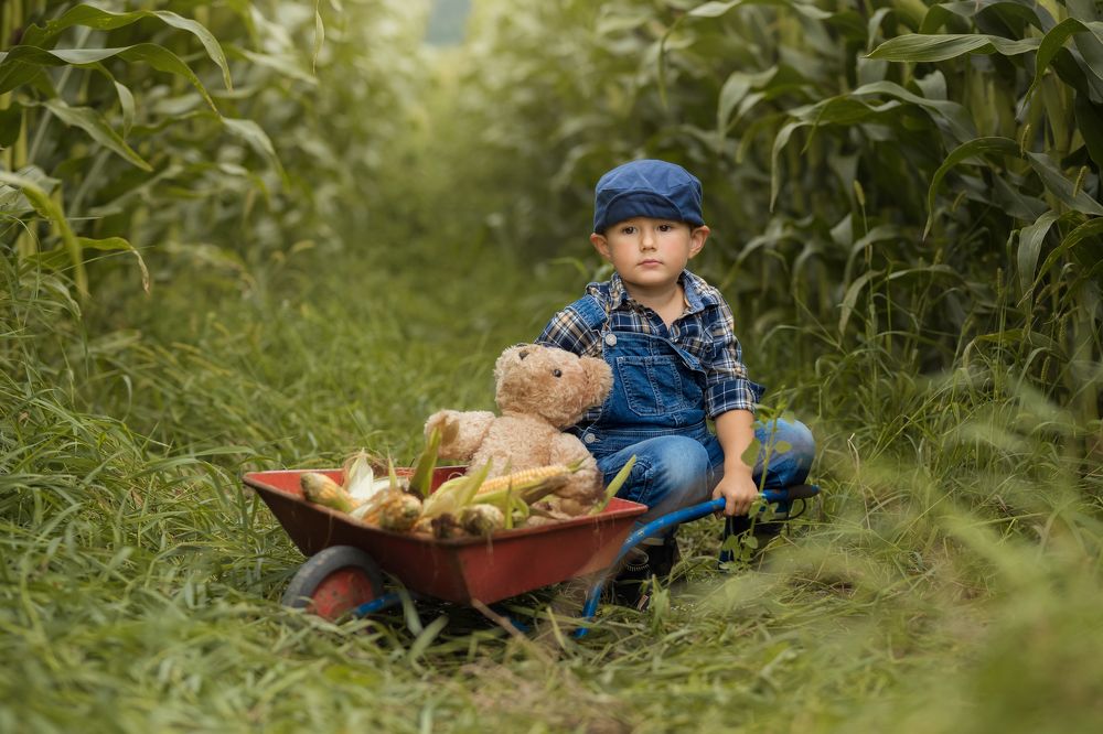 Photograph by Olga Sonnleitner