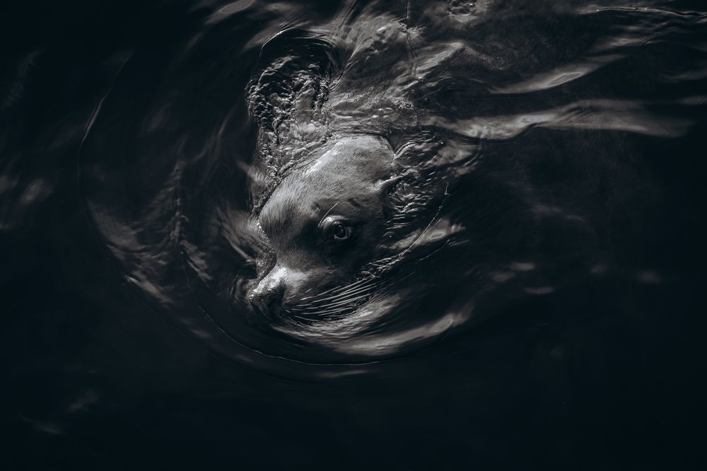 Photograph by Алексей Глебов