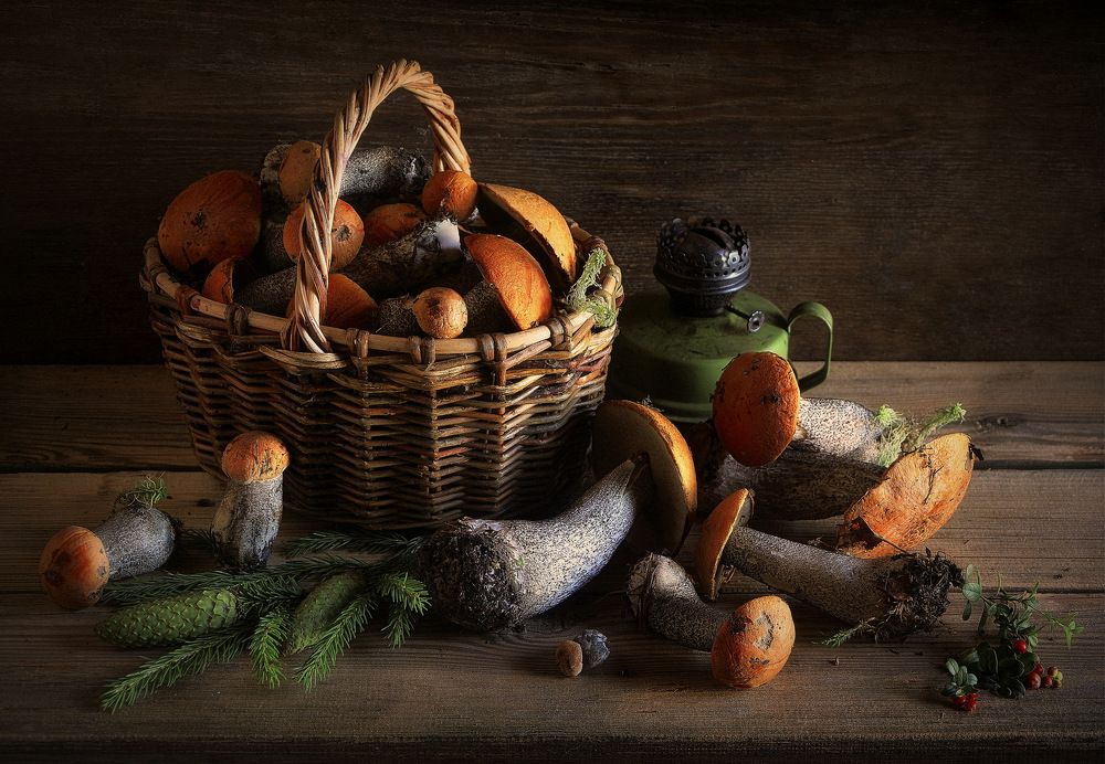 Только подосиновики