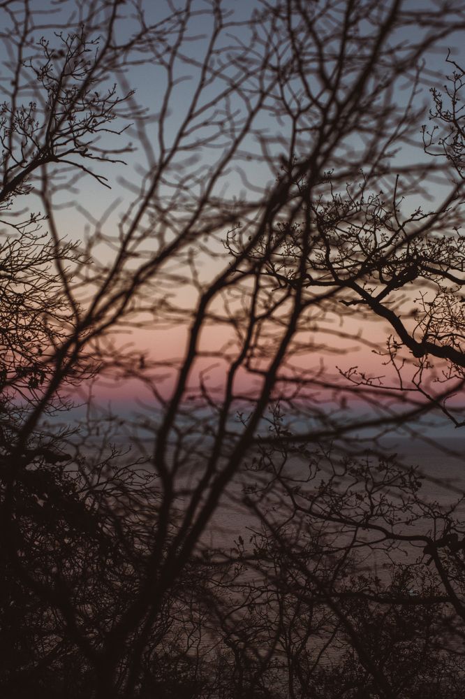 Photograph by Yana Ross