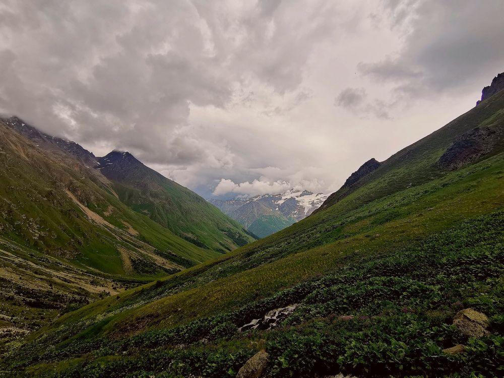 Photograph by Antonina Marchenko