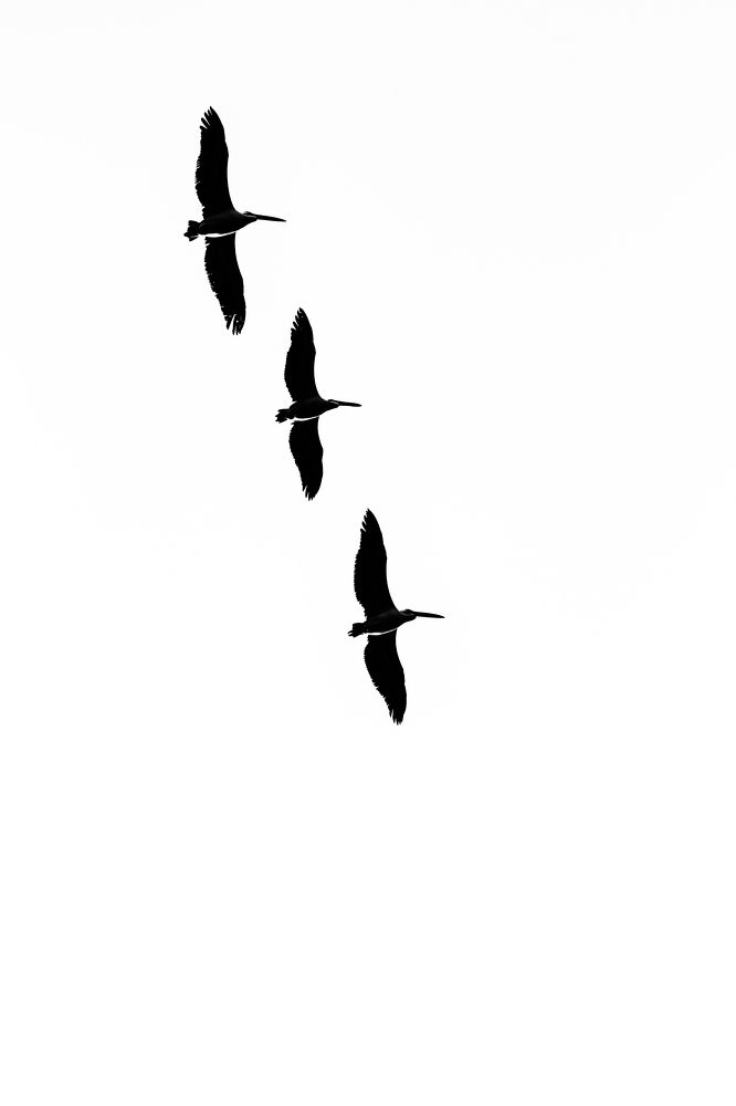Photograph by Ashutosh Patil