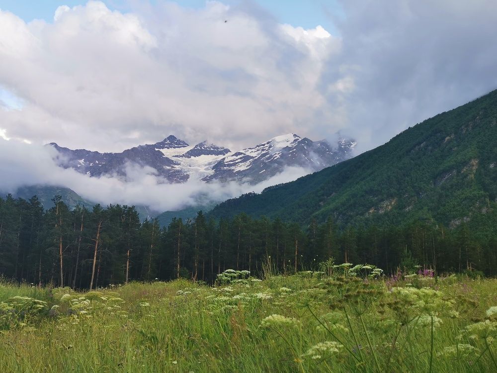 Photograph by Antonina Marchenko