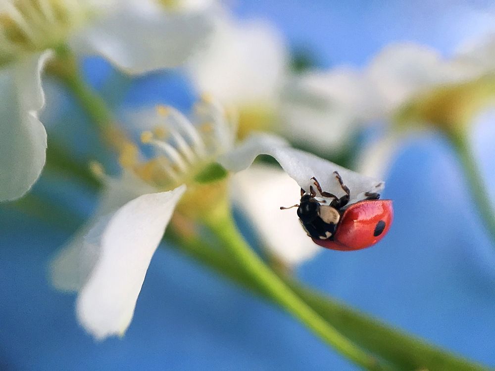 Photograph by Алена Шаргина