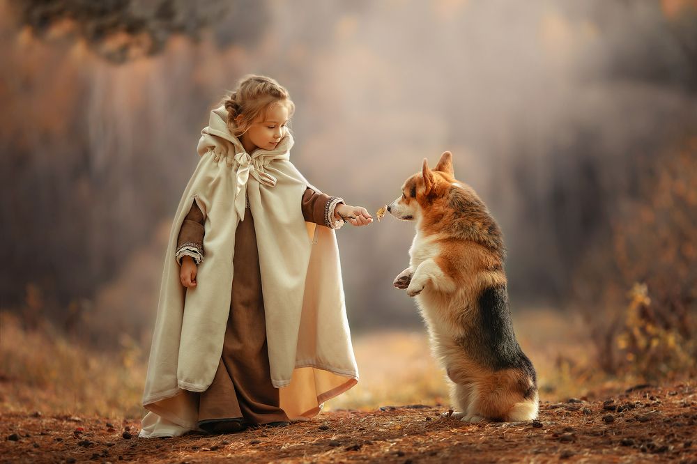 Запах осени