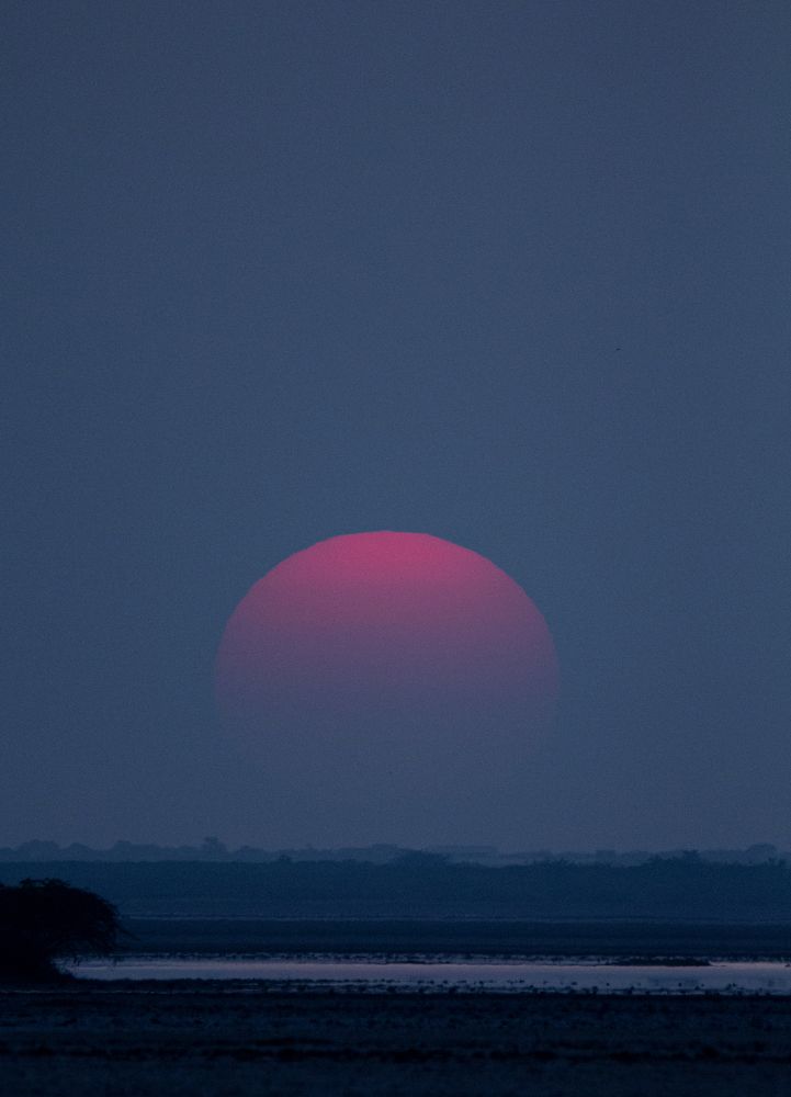 Half Sun