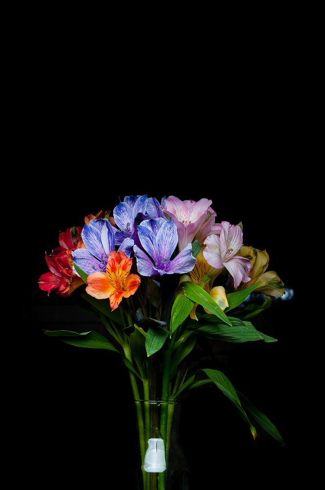 Photograph by Анастасия Селезнева