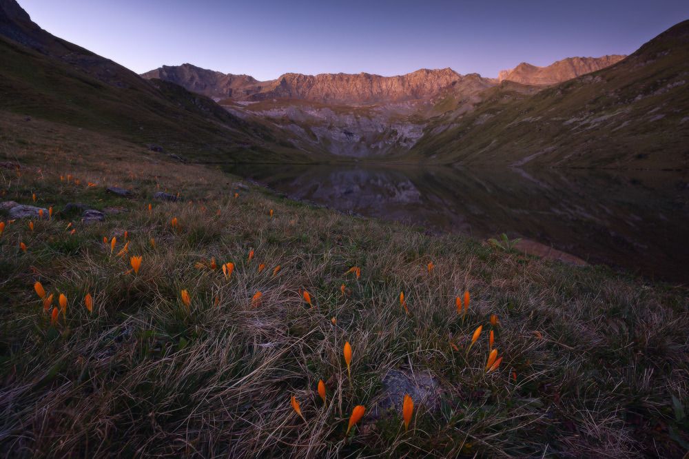В ожидании света